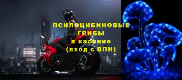 гидропоника Белокуриха