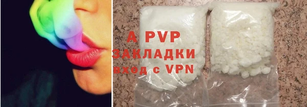 сатива Белоозёрский