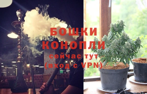 сатива Белоозёрский