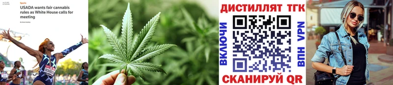 ТГК THC oil  Острогожск 