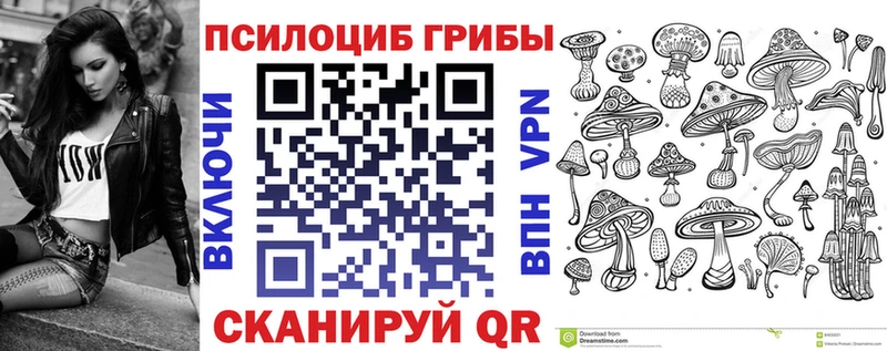 mega зеркало  Острогожск  Псилоцибиновые грибы мицелий 
