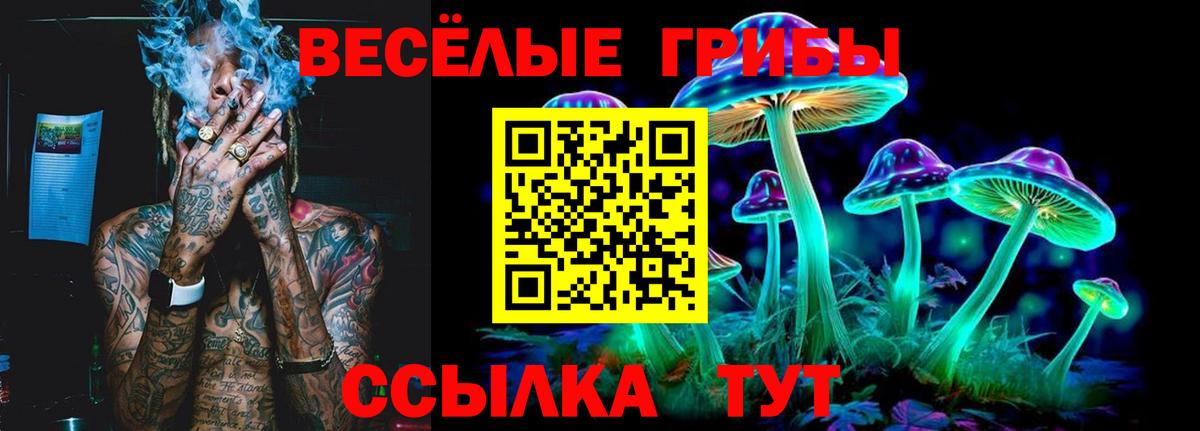 Острогожск  Галлюциногенные грибы Cubensis  Вход с VPN 